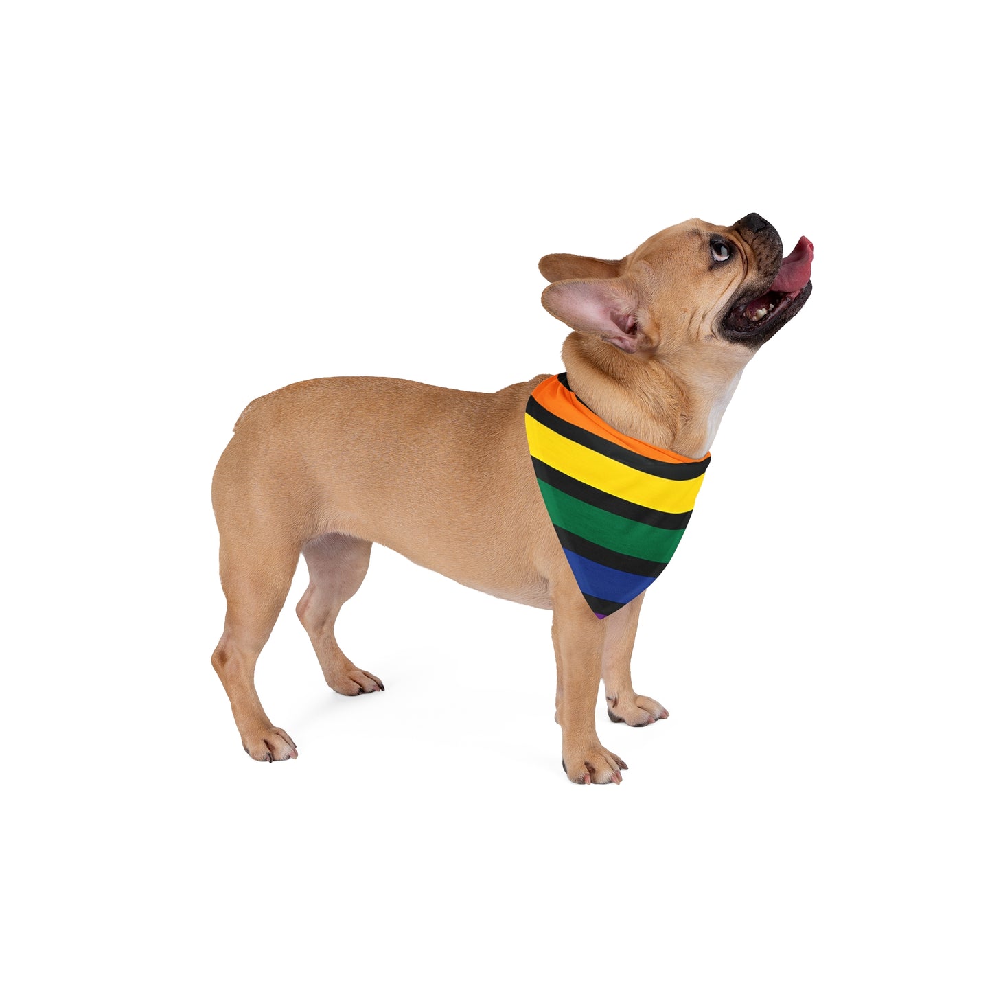 RAINBOW STRIPED -Pet Bandana - Rock n Royalty Designs