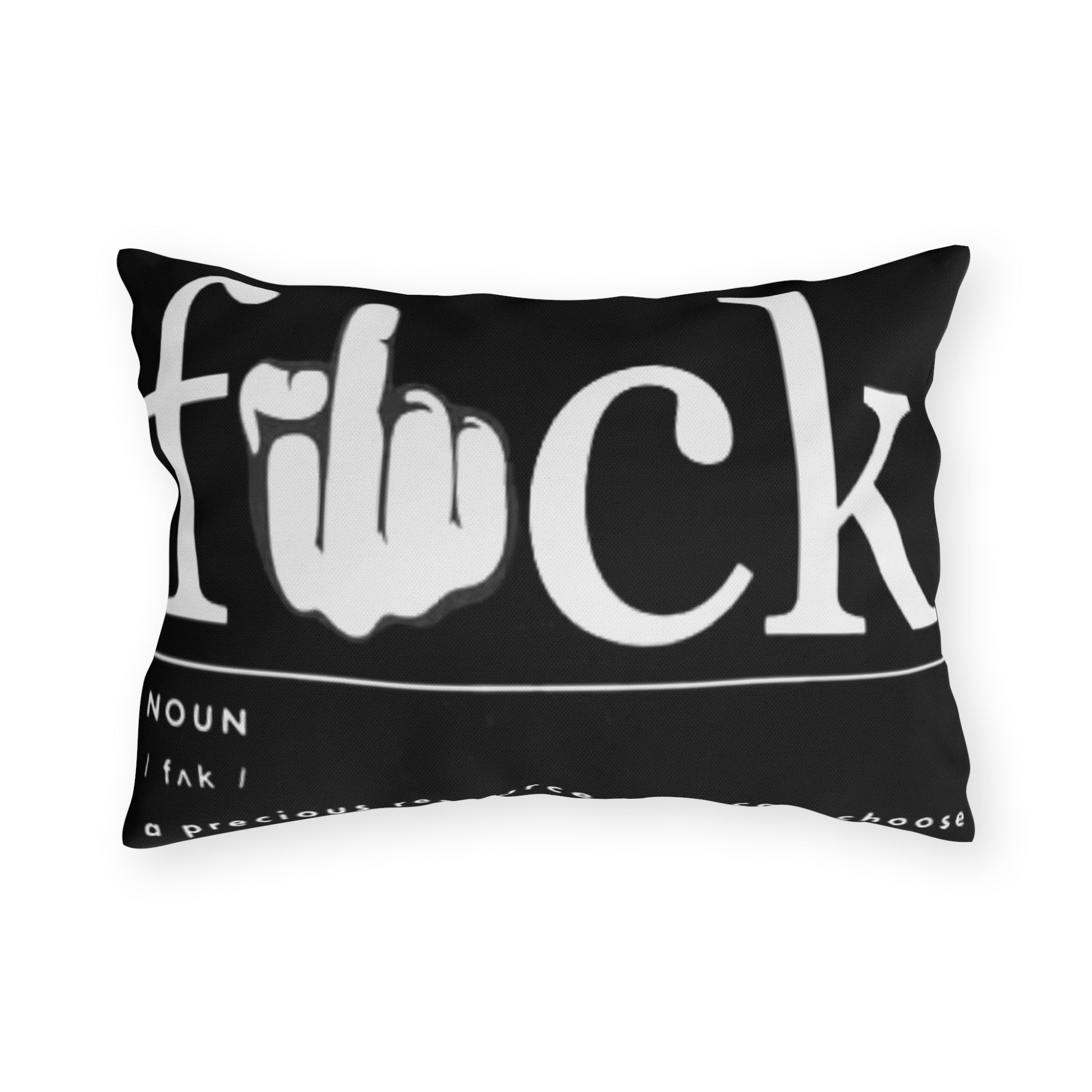 Cuss Word definition- Outdoor Pillows - Rock n Royalty Designs