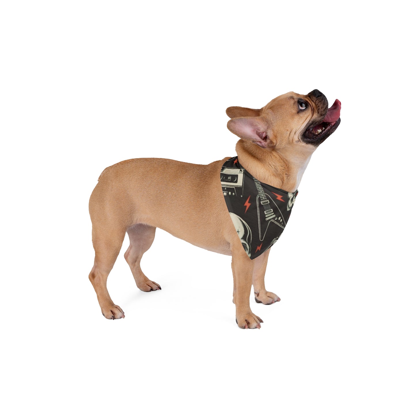 ROCKER - Pet Bandana - Rock n Royalty Designs