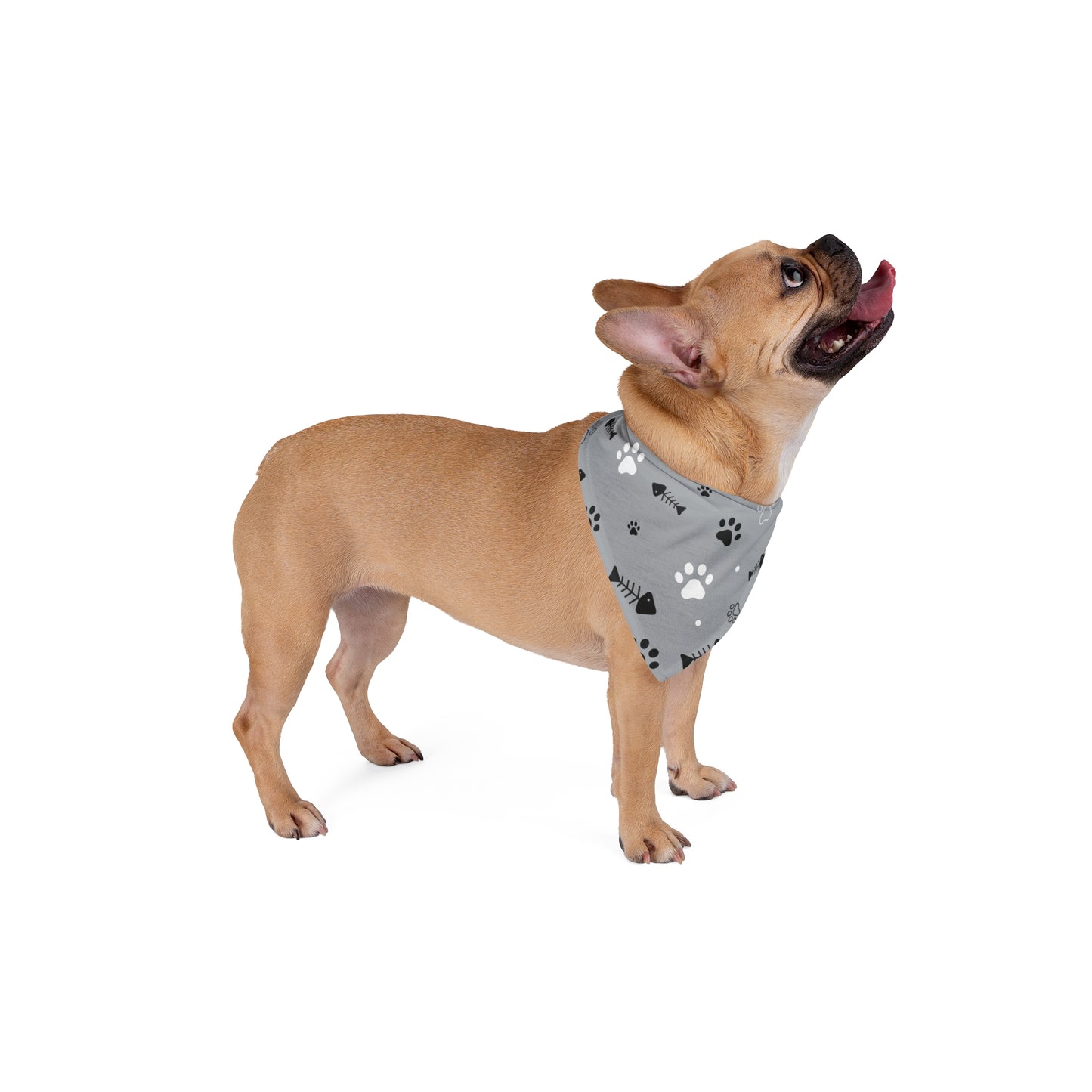 GRAY Pet Bandana - Rock n Royalty Designs