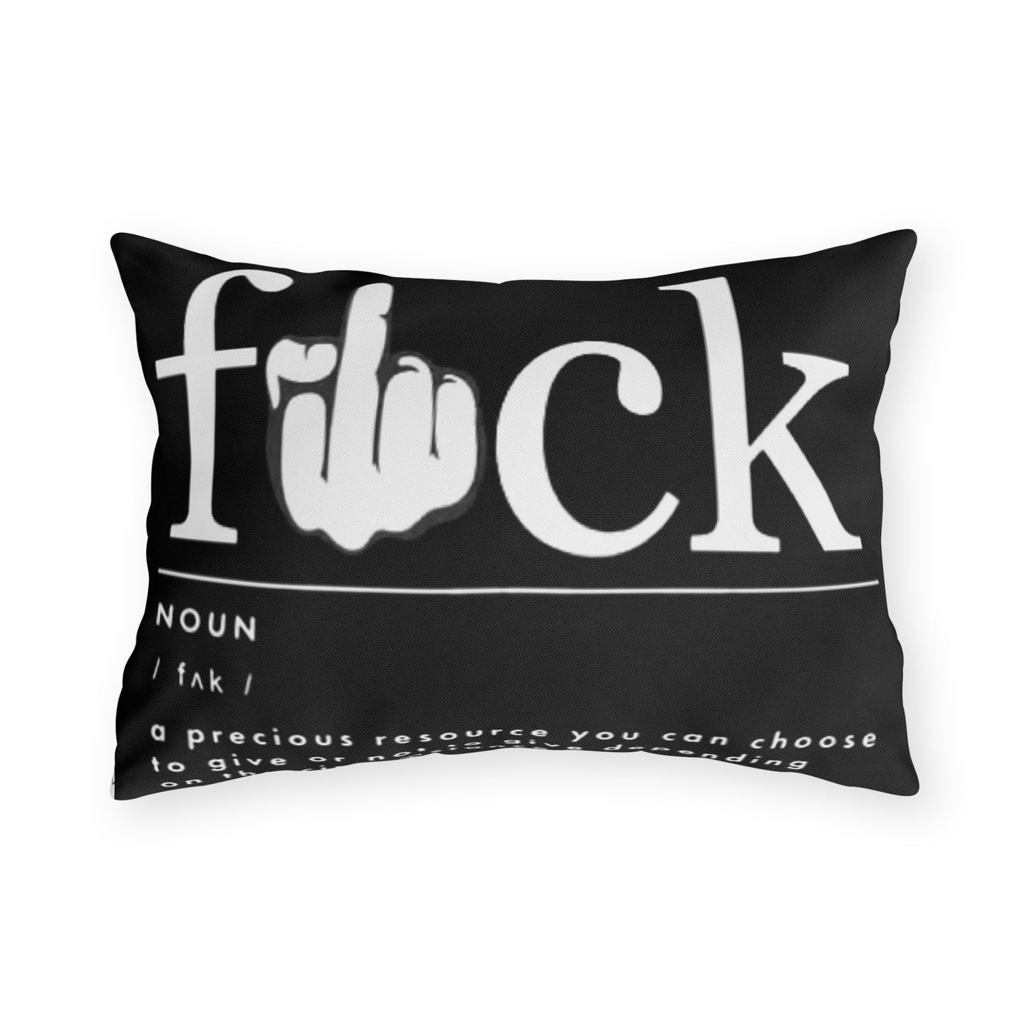 Cuss Word definition- Outdoor Pillows - Rock n Royalty Designs